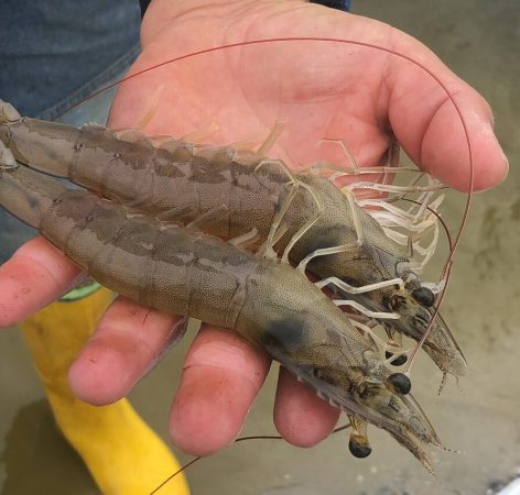 512821721_122104742006915362_6055107563898140181_n