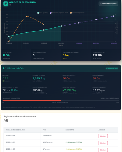 Analytics Dashboard Camaronia